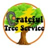Grateful Tree Guy
